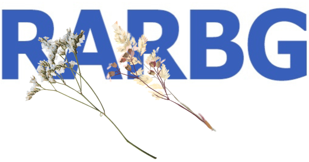 RAEBG website shutdown